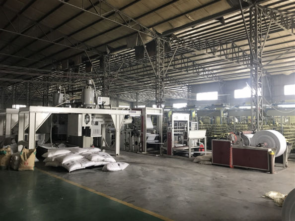 Yiyang Wanlin Weave Packing Co., Ltd. ligne de production en usine