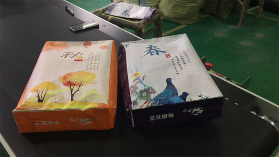 L'étoile BOPP d'annonce a stratifié le sac inférieur 40KG 50KG de bloc en plastique de ciment de sacs tissé par pp