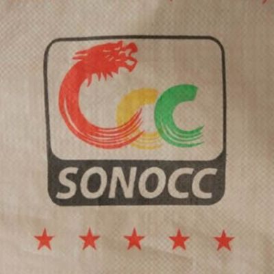 25 KG 40 KG 50 KG PP sac tissé vide PP sac de ciment Bloc de fond avec vanne