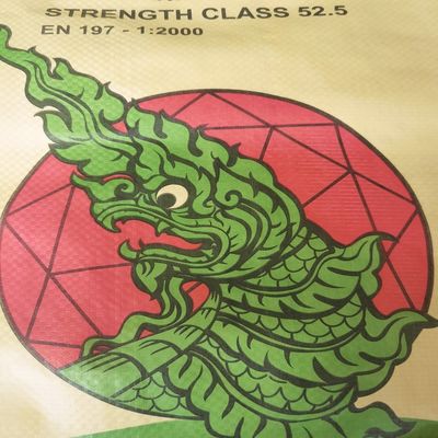 Sac de ciment PP 85GSM 50KG avec stratification PE étanche à l'humidité
