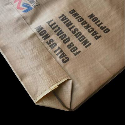 Sac de soupape en PP résistant à l'humidité avec joint thermique pour 20 kg-50 kg de ciment et de plâtre en poudre