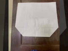 Sacs en papier d'emballage en durian renforcés anti-puncture à 4 plis